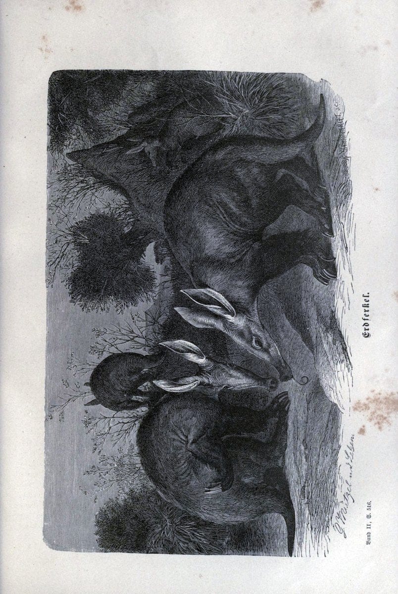 Dragable Image