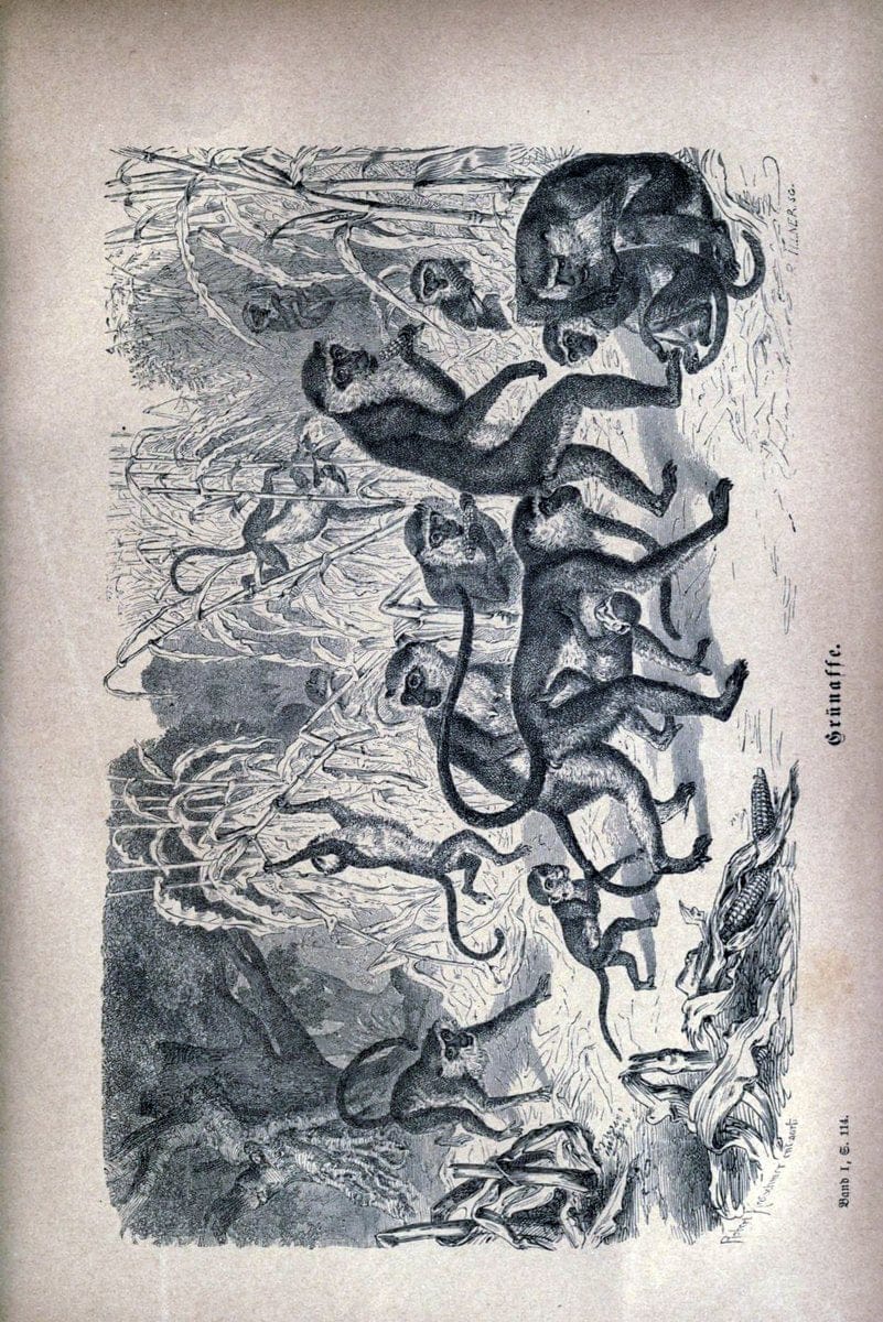 Dragable Image