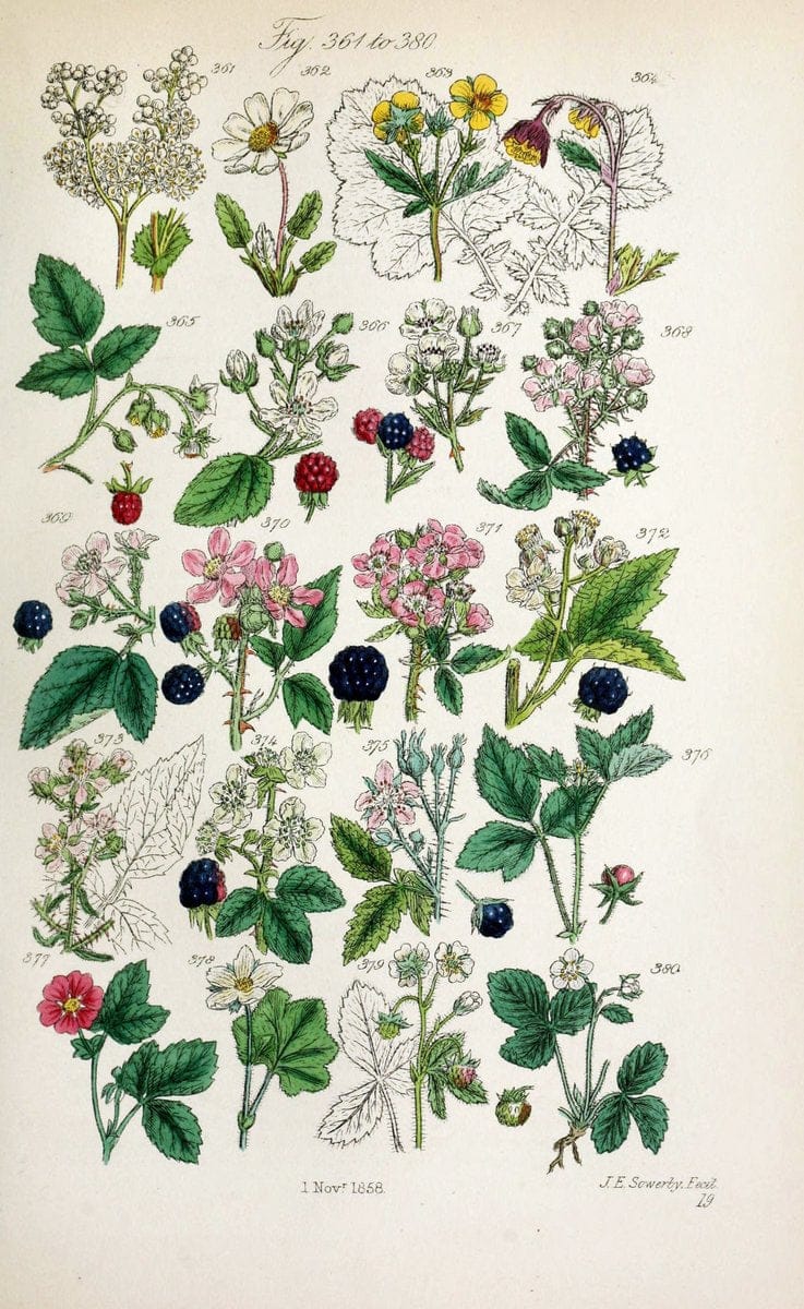Dragable Image