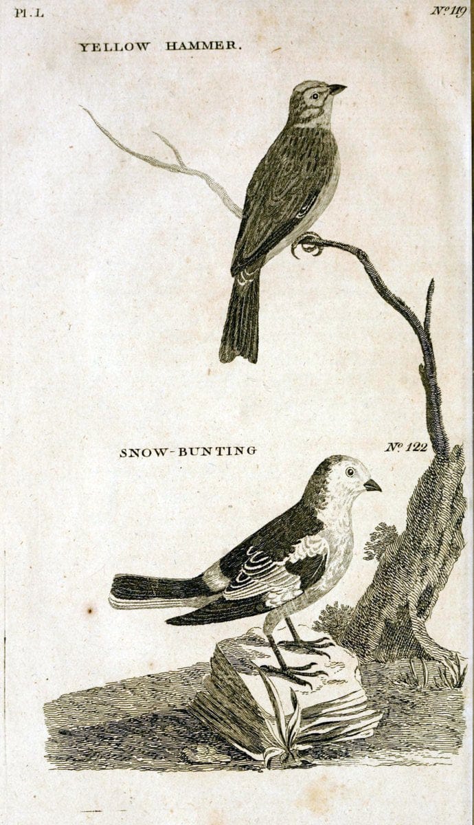 British zoology..Warrington,Printed by W. Eyres, for B. White, London,1776-77.. |  | Vintage Print Reproduction 465355