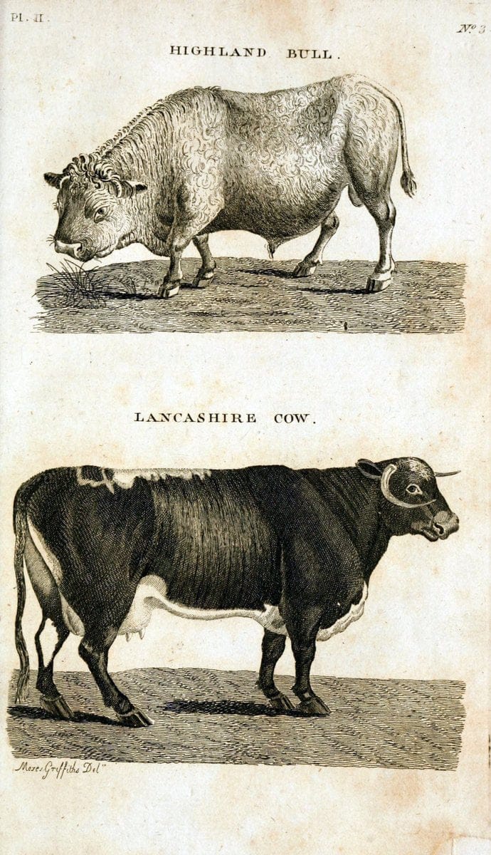 British zoology..Warrington,Printed by W. Eyres, for B. White, London,1776-77.. |  | Vintage Print Reproduction 465366
