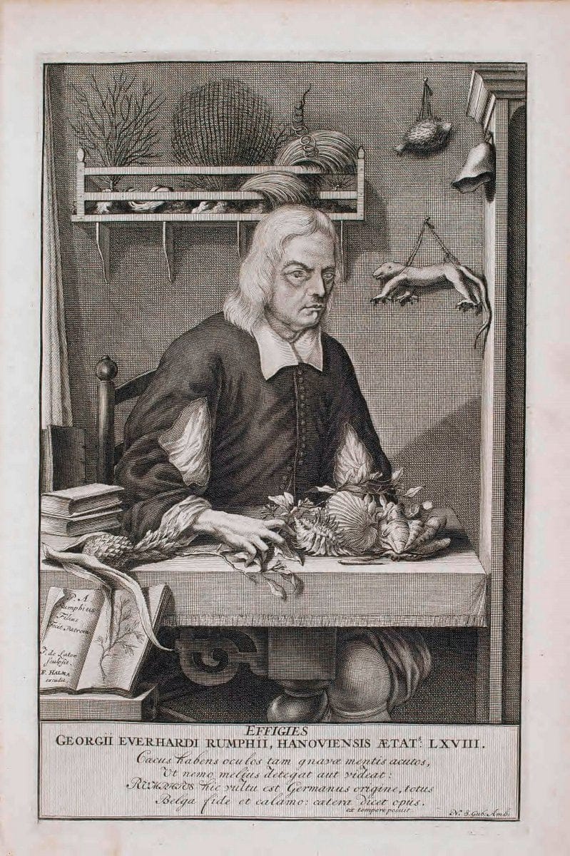 D'Amboinsche Rariteitkamer .  :.T'Amsterdam :Gedrukt by FrancÃŒÂ§ois Halma,1705. | Crustacea "Early works to 1800" Indonesia Maluku Mineralogy Mollusks "Museums Victoria" | Vintage Reproduction 465561