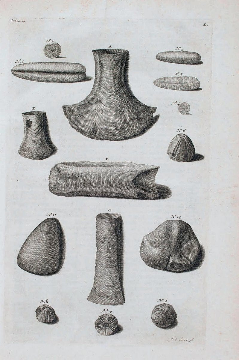 D'Amboinsche Rariteitkamer .  :.T'Amsterdam :Gedrukt by FrancÃŒÂ§ois Halma,1705. | Crustacea "Early works to 1800" Indonesia Maluku Mineralogy Mollusks "Museums Victoria" | Vintage Reproduction 465570