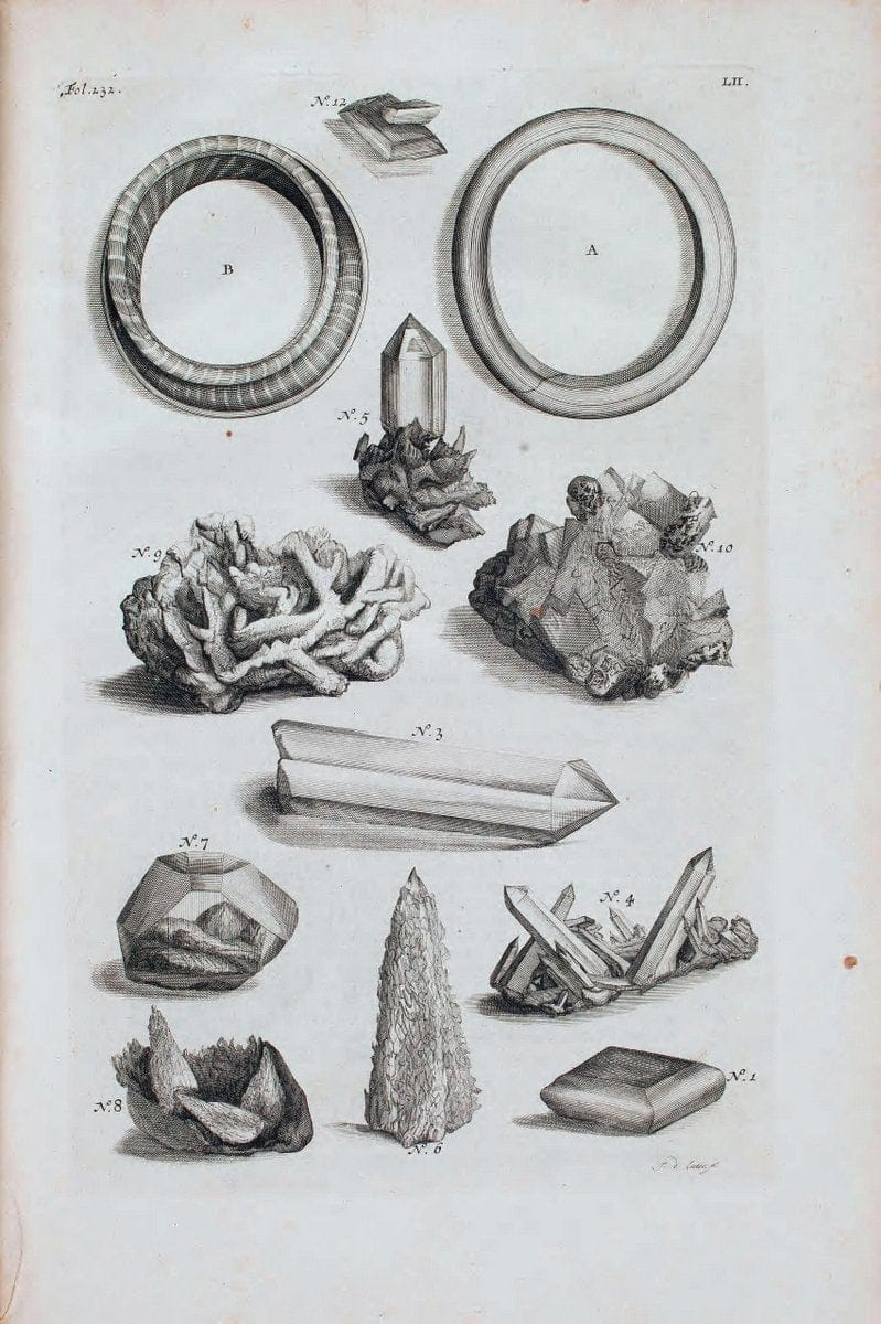 D'Amboinsche Rariteitkamer .  :.T'Amsterdam :Gedrukt by FrancÃŒÂ§ois Halma,1705. | Crustacea "Early works to 1800" Indonesia Maluku Mineralogy Mollusks "Museums Victoria" | Vintage Reproduction 465572