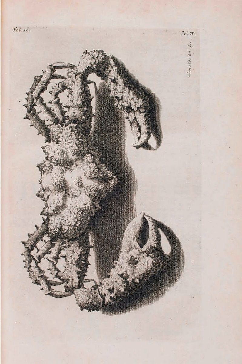 Dragable Image