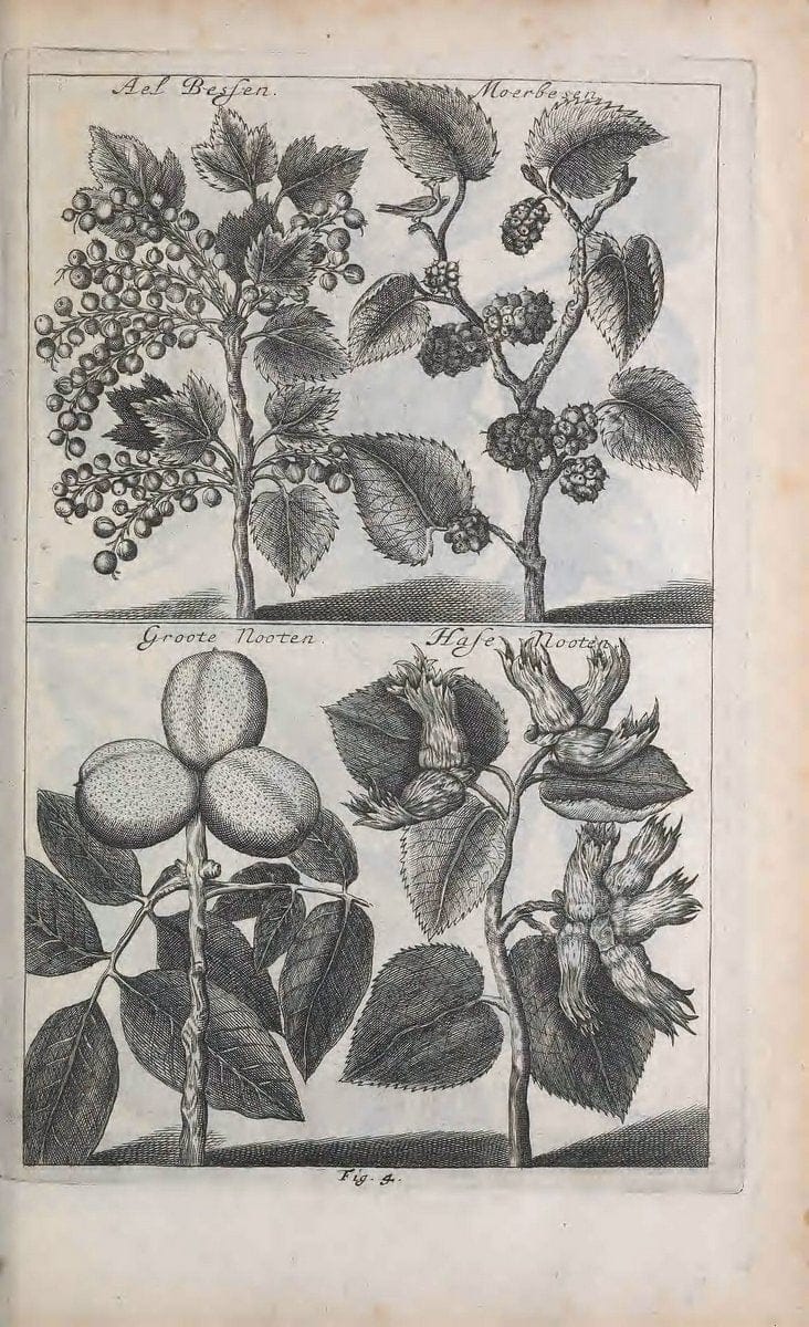 De koninglycke hovenier aanwyzende de middelen om boomen :.t'Amsterdam :By Marcus Doornick [sic] . ,[1676]. | Horticulture Netherlands | Vintage Print Reproduction 466355