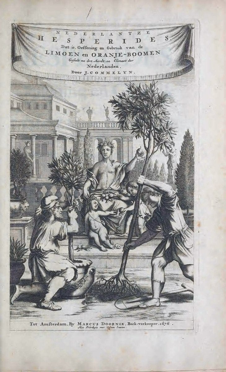 De koninglycke hovenier aanwyzende de middelen om boomen :.t'Amsterdam :By Marcus Doornick [sic] . ,[1676]. | Horticulture Netherlands | Vintage Print Reproduction 466376