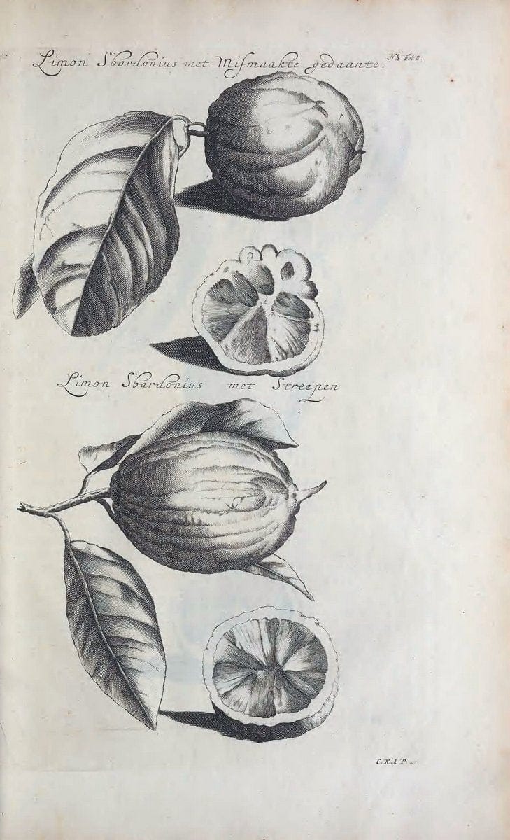 De koninglycke hovenier aanwyzende de middelen om boomen :.t'Amsterdam :By Marcus Doornick [sic] . ,[1676]. | Horticulture Netherlands | Vintage Print Reproduction 466380
