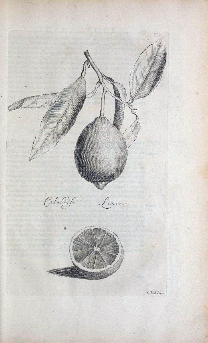 De koninglycke hovenier aanwyzende de middelen om boomen :.t'Amsterdam :By Marcus Doornick [sic] . ,[1676]. | Horticulture Netherlands | Vintage Print Reproduction 466381