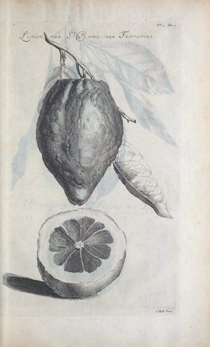 De koninglycke hovenier aanwyzende de middelen om boomen :.t'Amsterdam :By Marcus Doornick [sic] . ,[1676]. | Horticulture Netherlands | Vintage Print Reproduction 466383