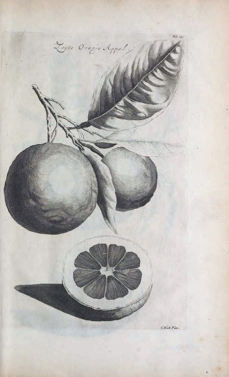 De koninglycke hovenier aanwyzende de middelen om boomen :.t'Amsterdam :By Marcus Doornick [sic] . ,[1676]. | Horticulture Netherlands | Vintage Print Reproduction 466389