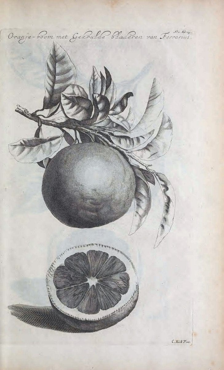 De koninglycke hovenier aanwyzende de middelen om boomen :.t'Amsterdam :By Marcus Doornick [sic] . ,[1676]. | Horticulture Netherlands | Vintage Print Reproduction 466390