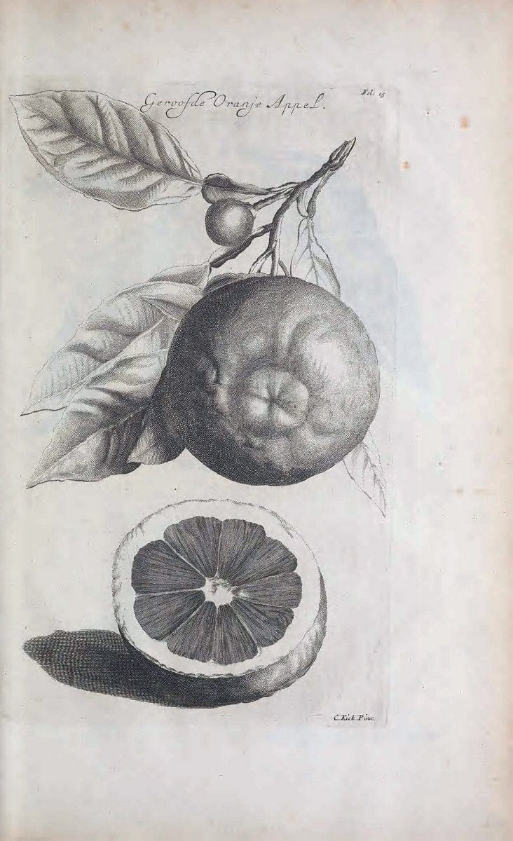 De koninglycke hovenier aanwyzende de middelen om boomen :.t'Amsterdam :By Marcus Doornick [sic] . ,[1676]. | Horticulture Netherlands | Vintage Print Reproduction 466391