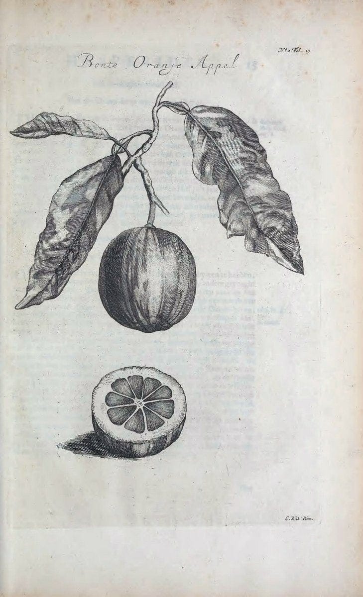 De koninglycke hovenier aanwyzende de middelen om boomen :.t'Amsterdam :By Marcus Doornick [sic] . ,[1676]. | Horticulture Netherlands | Vintage Print Reproduction 466392