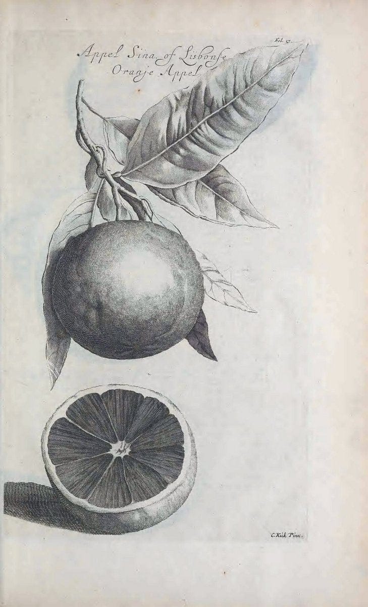 De koninglycke hovenier aanwyzende de middelen om boomen :.t'Amsterdam :By Marcus Doornick [sic] . ,[1676]. | Horticulture Netherlands | Vintage Print Reproduction 466394