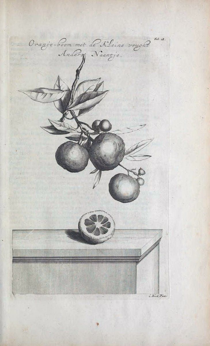 De koninglycke hovenier aanwyzende de middelen om boomen :.t'Amsterdam :By Marcus Doornick [sic] . ,[1676]. | Horticulture Netherlands | Vintage Print Reproduction 466395