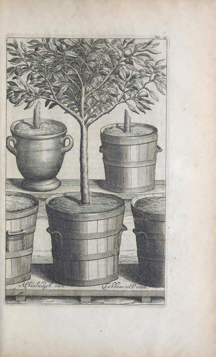De koninglycke hovenier aanwyzende de middelen om boomen :.t'Amsterdam :By Marcus Doornick [sic] . ,[1676]. | Horticulture Netherlands | Vintage Print Reproduction 466396