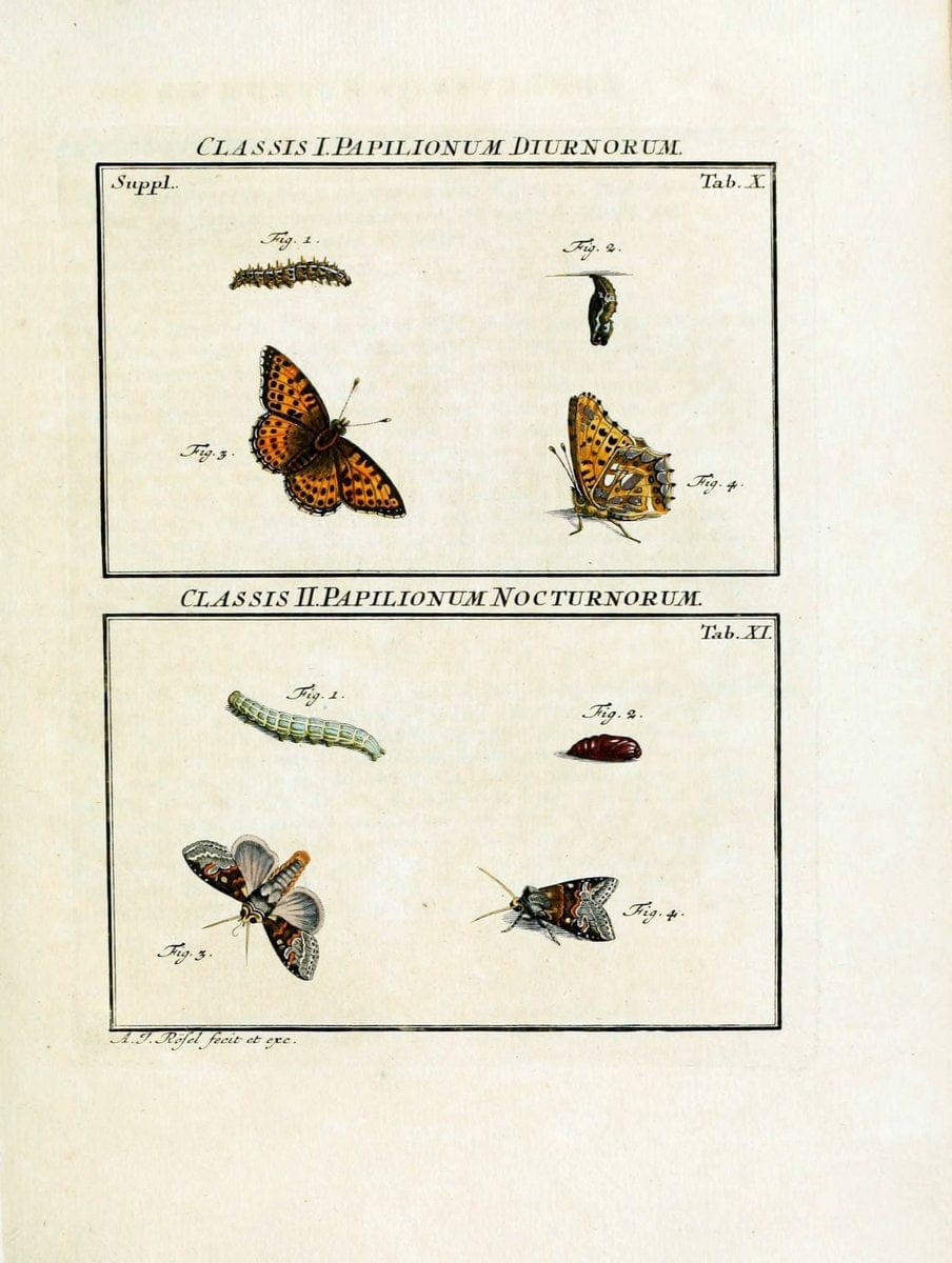 Dragable Image