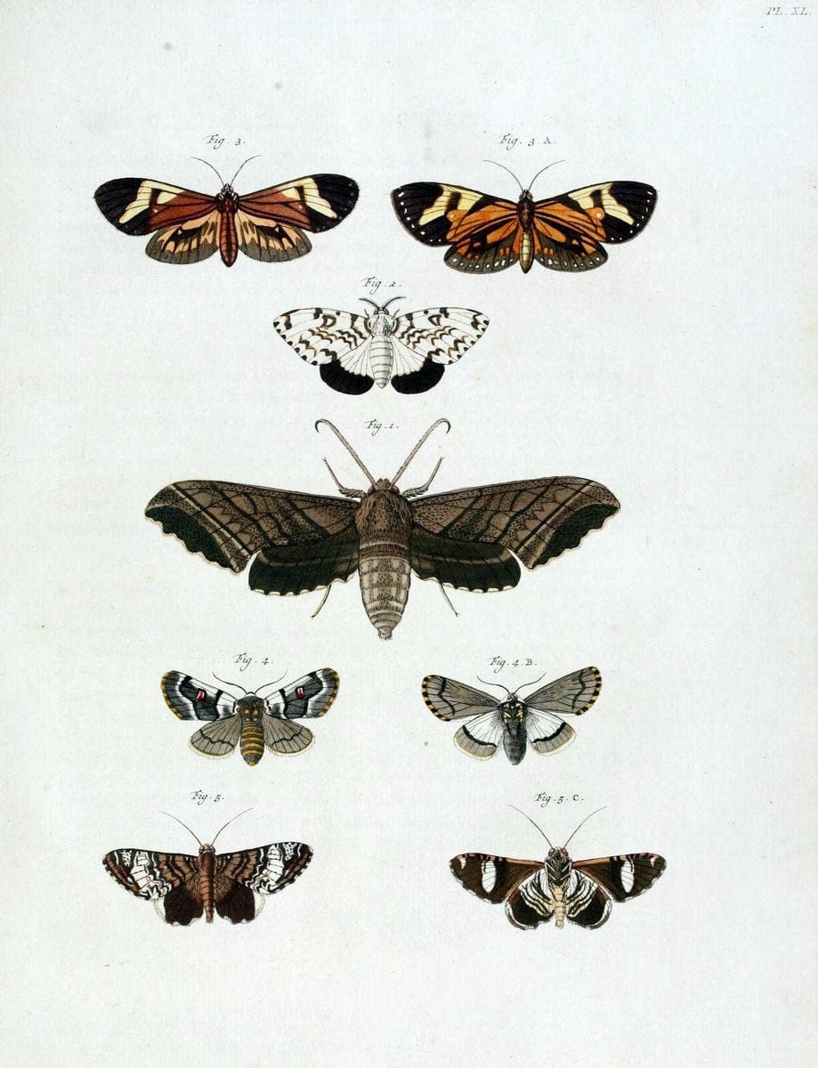 De uitlandsche kapellen, voorkomende in de drie waereld-deelen Asia, Africa en America /.A Amsteldam :Chez Barthelmy Wild,1779-1782 [i.e. 1775-1782]. |  | Vintage Print Reproduction 467208