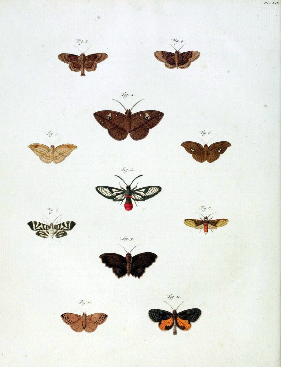 De uitlandsche kapellen, voorkomende in de drie waereld-deelen Asia, Africa en America /.A Amsteldam :Chez Barthelmy Wild,1779-1782 [i.e. 1775-1782]. |  | Vintage Print Reproduction 467255