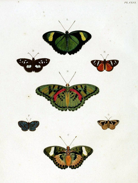 De uitlandsche kapellen. v.2.A Amsteldam :Chez Barthelmy Wild,1779-1782 [i.e. 1775-1782] | Vintage Print Reproduction 467292