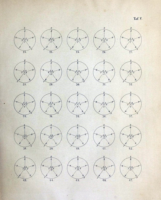 Denkschriften der KoÌˆniglich-Baierischen Botanischen Gesellschaft in Regensburg. Regensb | Bavaria Botany Germany Periodicals Plants | Vintage Print Reproduction 467544