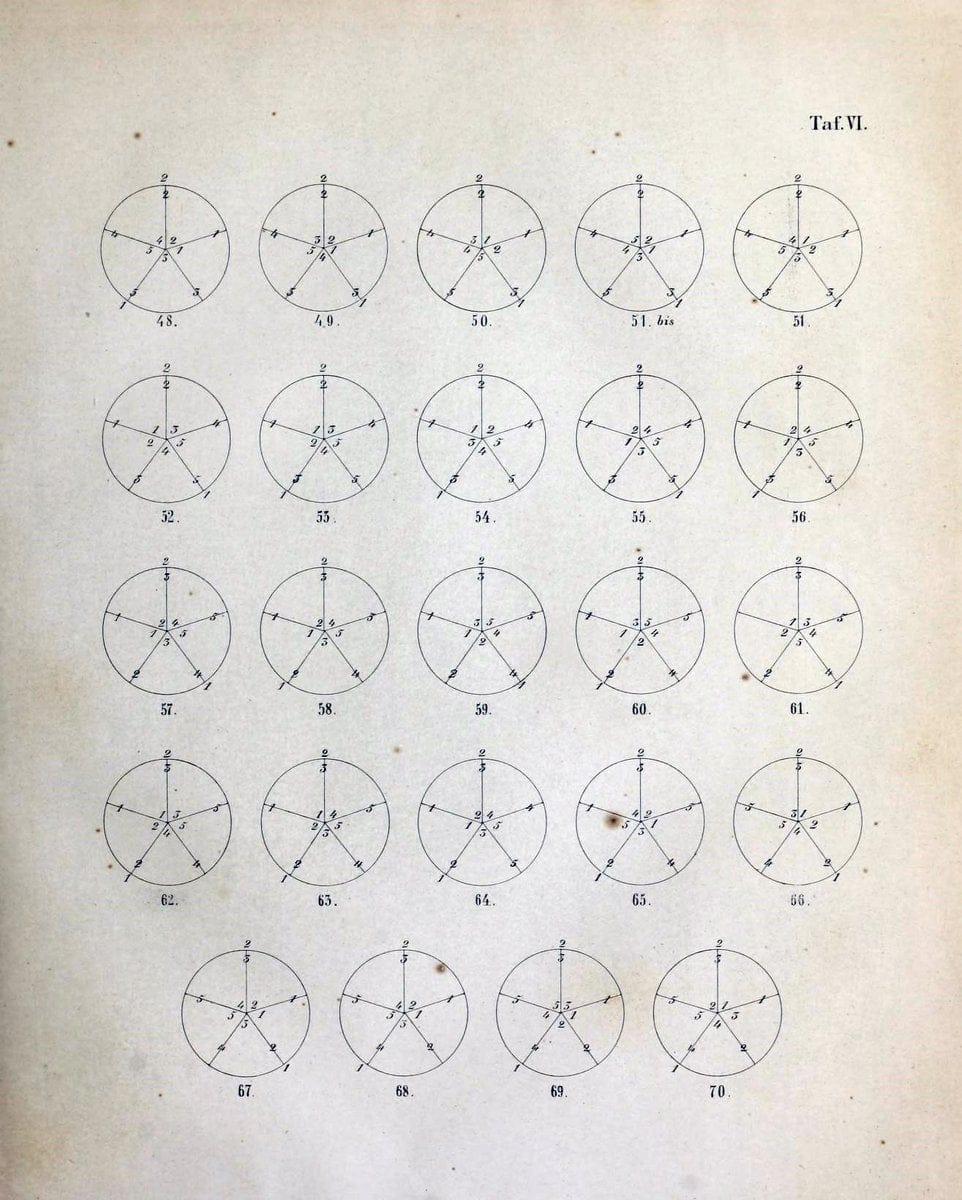 Denkschriften der KoÌˆniglich-Baierischen Botanischen Gesellschaft in Regensburg. Regensb | Bavaria Botany Germany Periodicals Plants | Vintage Print Reproduction 467545
