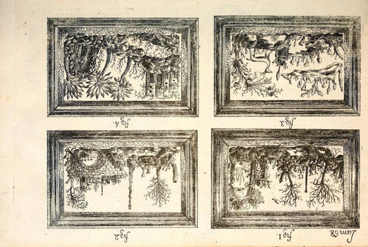 Descripcion de diferentes piezas de historia natural las mas del ramo maritimo :.En La Havana :En la Imprenta de la Capitania General,1787.. |  | Vintage Print Reproduction 467654