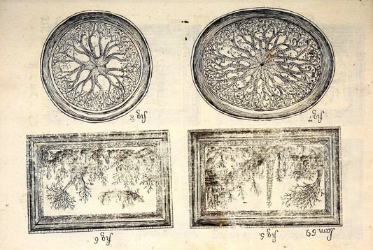 Descripcion de diferentes piezas de historia natural las mas del ramo maritimo :.En La Havana :En la Imprenta de la Capitania General,1787.. |  | Vintage Print Reproduction 467655