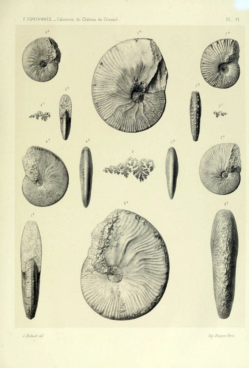 Dragable Image