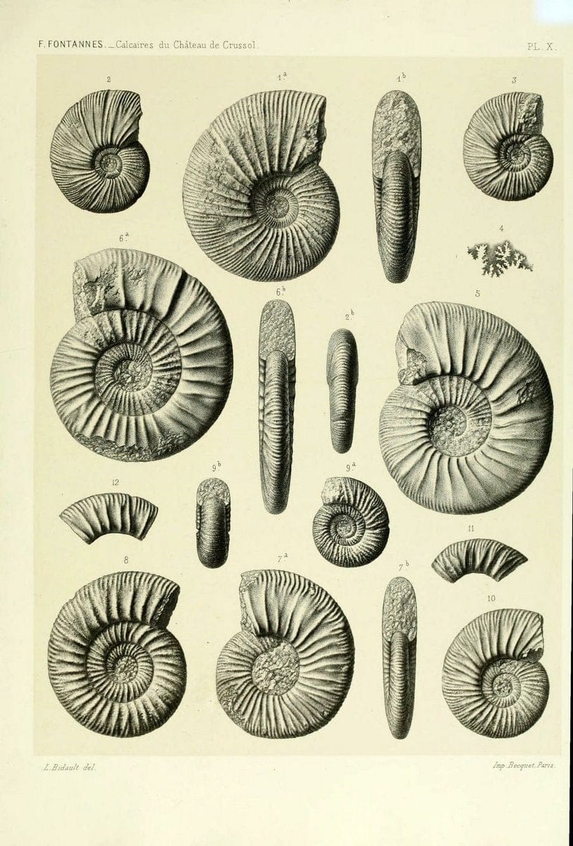 Dragable Image