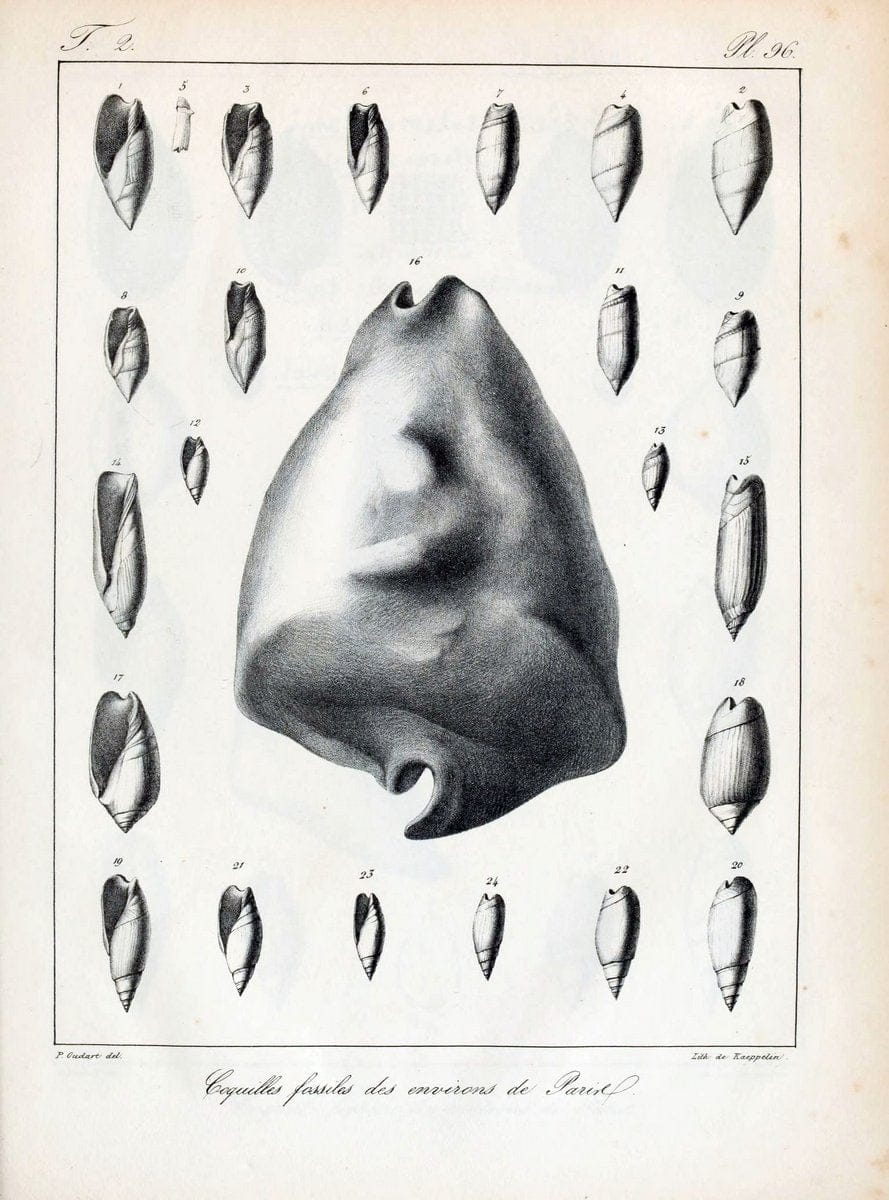 Dragable Image