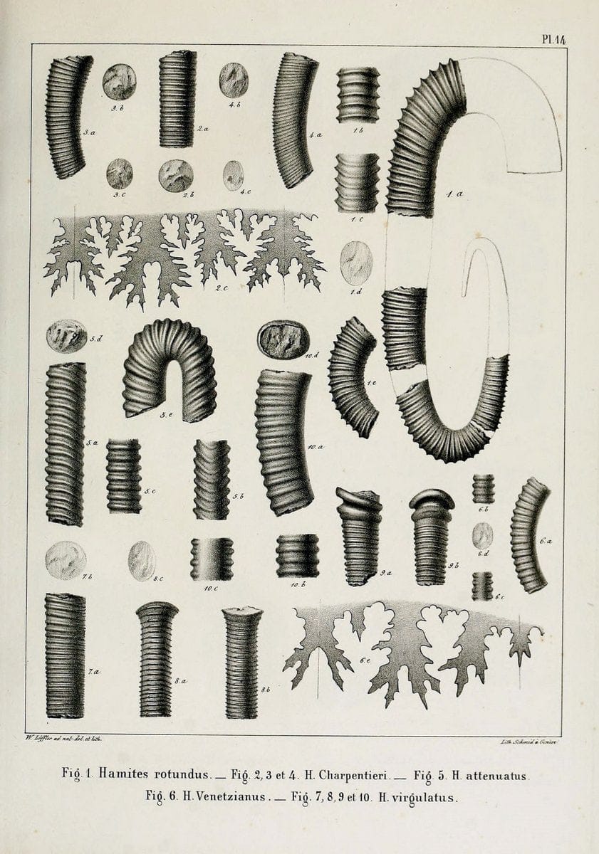 Dragable Image