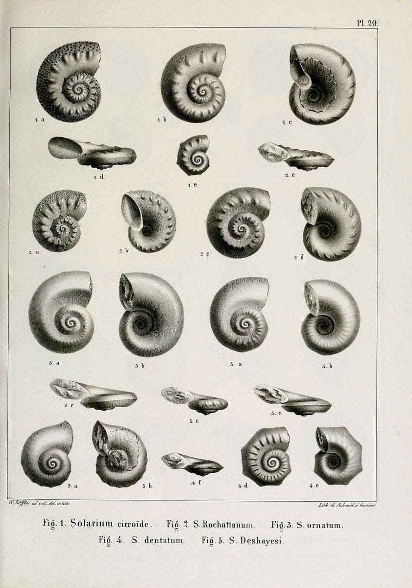 Dragable Image