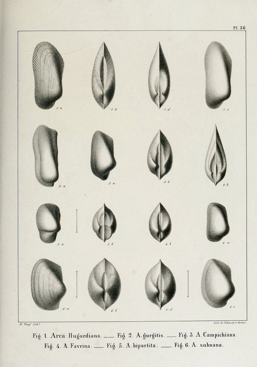 Dragable Image
