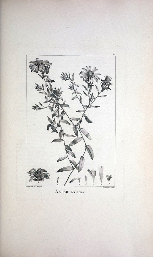 Description des plantes nouvelles et peu connues :.A Paris :De l'imprimerie de Crapelet,an 8, [i.e. 1799 or 1800]. | Botany "Pictorial works" | Vintage Print Reproduction 468167