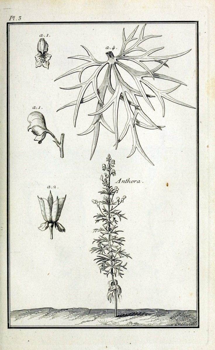 Description, vertus et usages de sept cents dix-neuf plantes :.Paris :P.F. Didot le jeun | France "Materia medica" "Medicinal plants" "Pictorial works" | Vintage Print Reproduction 468328