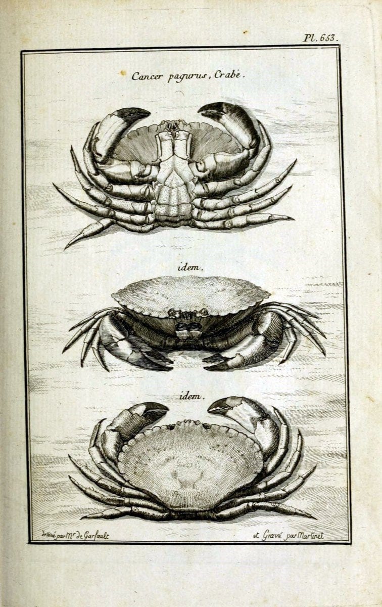 Description, vertus et usages de sept cents dix-neuf plantes :.Paris :P.F. Didot le jeun | France "Materia medica" "Medicinal plants" "Pictorial works" | Vintage Print Reproduction 468337