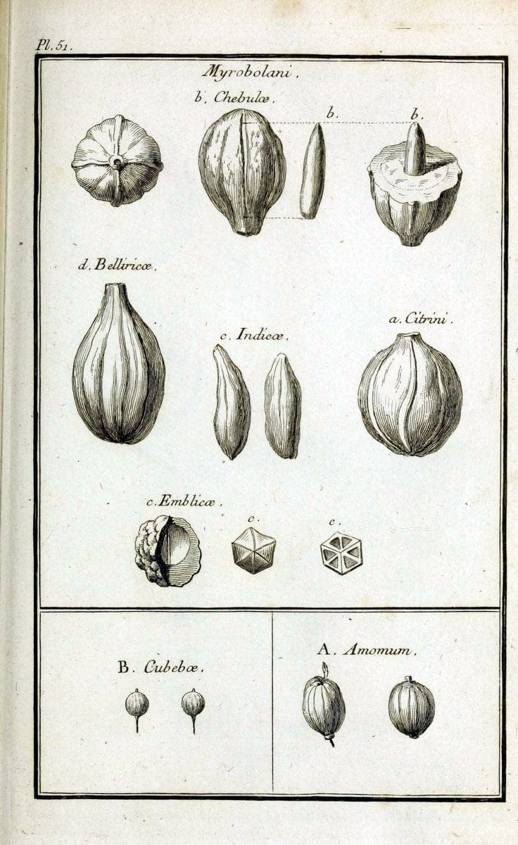Description, vertus et usages de sept cents dix-neuf plantes :.Paris :P.F. Didot le jeun | France "Materia medica" "Medicinal plants" "Pictorial works" | Vintage Print Reproduction 468424