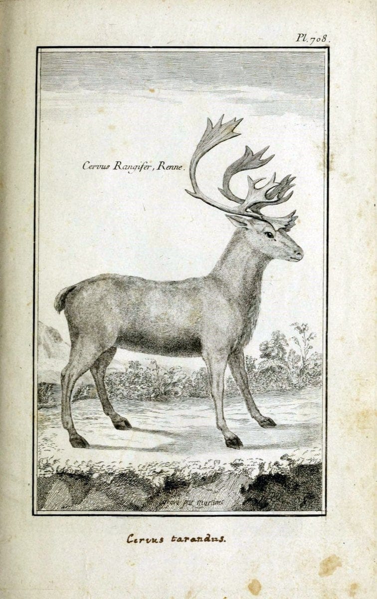 Description, vertus et usages de sept cents dix-neuf plantes :.Paris :P.F. Didot le jeun | France "Materia medica" "Medicinal plants" "Pictorial works" | Vintage Print Reproduction 468447