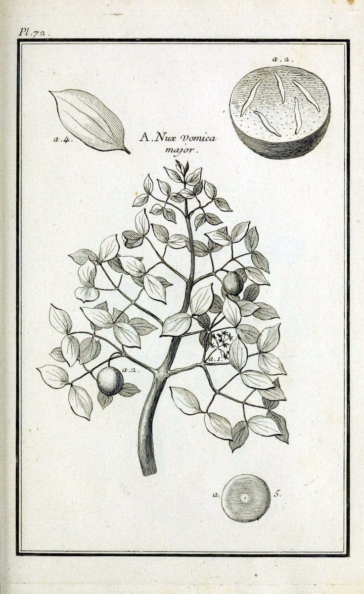 Description, vertus et usages de sept cents dix-neuf plantes :.Paris :P.F. Didot le jeun | France "Materia medica" "Medicinal plants" "Pictorial works" | Vintage Print Reproduction 468466