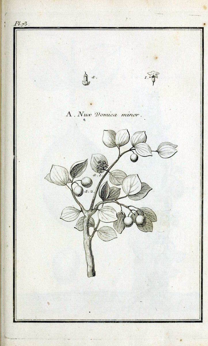 Description, vertus et usages de sept cents dix-neuf plantes :.Paris :P.F. Didot le jeun | France "Materia medica" "Medicinal plants" "Pictorial works" | Vintage Print Reproduction 468468