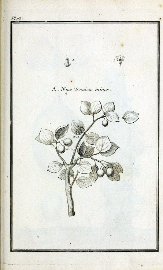 Description, vertus et usages de sept cents dix-neuf plantes :.Paris :P.F. Didot le jeun | France "Materia medica" "Medicinal plants" "Pictorial works" | Vintage Print Reproduction 468468