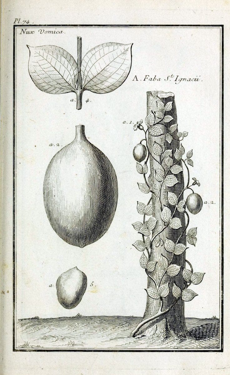 Description, vertus et usages de sept cents dix-neuf plantes :.Paris :P.F. Didot le jeun | France "Materia medica" "Medicinal plants" "Pictorial works" | Vintage Print Reproduction 468470