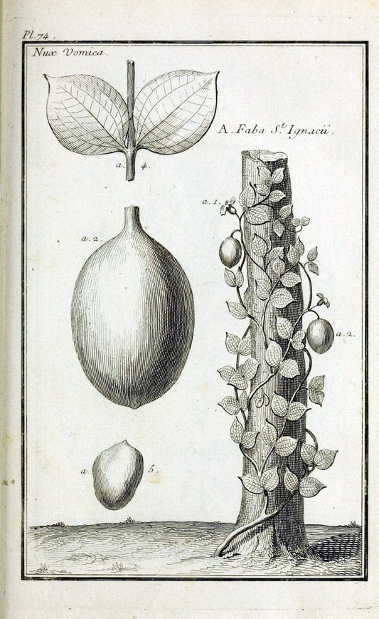 Description, vertus et usages de sept cents dix-neuf plantes :.Paris :P.F. Didot le jeun | France "Materia medica" "Medicinal plants" "Pictorial works" | Vintage Print Reproduction 468470