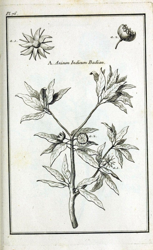 Description, vertus et usages de sept cents dix-neuf plantes :.Paris :P.F. Didot le jeun | France "Materia medica" "Medicinal plants" "Pictorial works" | Vintage Print Reproduction 468474