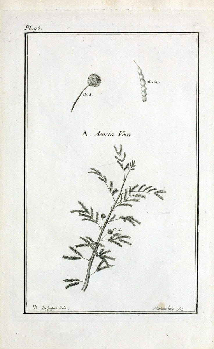 Description, vertus et usages de sept cents dix-neuf plantes :.Paris :P.F. Didot le jeun | France "Materia medica" "Medicinal plants" "Pictorial works" | Vintage Print Reproduction 468500