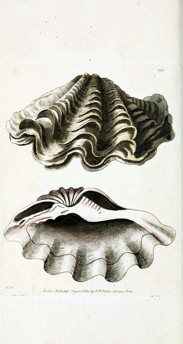 Dragable Image