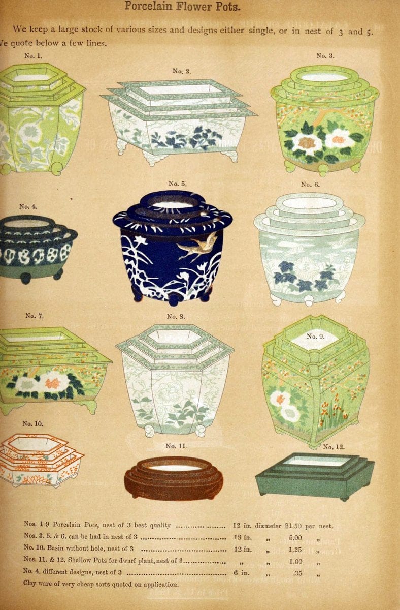 Descriptive catalogue of flowering, ornamental trees, shrubs, bulbs, herbs, climbers, fr | Catalogs Japan Yokohama-shi  | Vintage Print Reproduction 468610