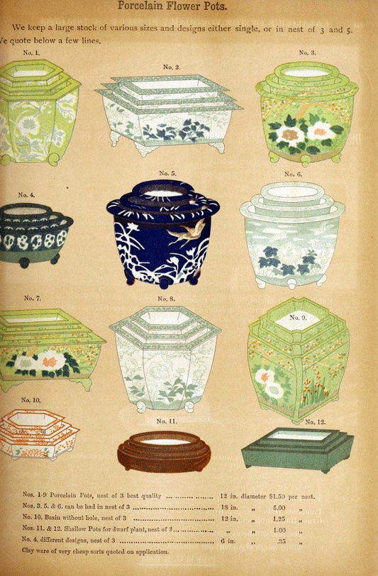 Descriptive catalogue of flowering, ornamental trees, shrubs, bulbs, herbs, climbers, fr | Catalogs Japan Yokohama-shi  | Vintage Print Reproduction 468610